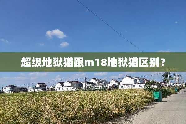 超级地狱猫跟m18地狱猫区别？