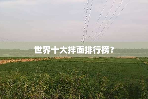 世界十大拌面排行榜？