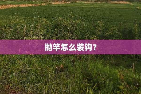 抛竿怎么装钩？