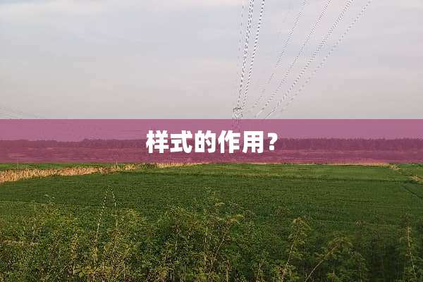 样式的作用？