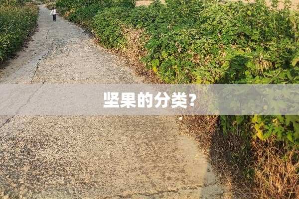 坚果的分类？
