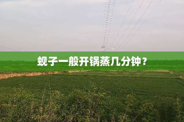 蚬子一般开锅蒸几分钟？