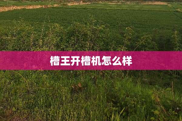 槽王开槽机怎么样