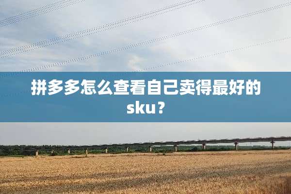 拼多多怎么查看自己卖得最好的sku？