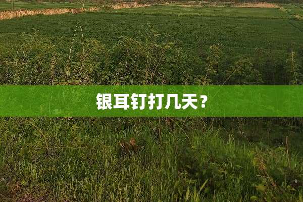 银耳钉打几天？