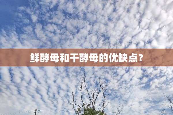 鲜酵母和干酵母的优缺点？