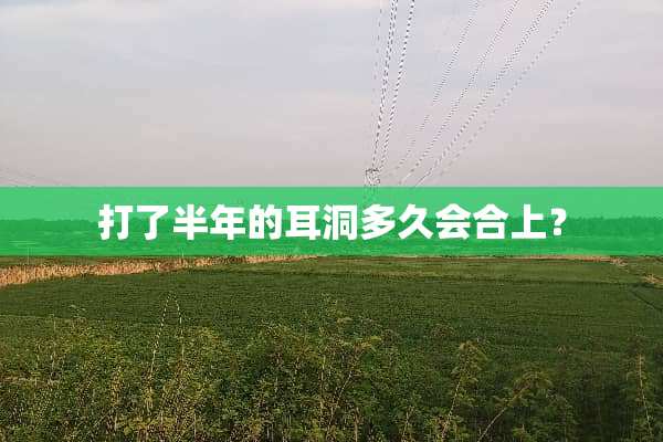 打了半年的耳洞多久会合上？