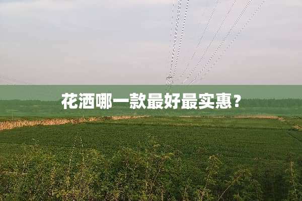 花洒哪一款最好最实惠？