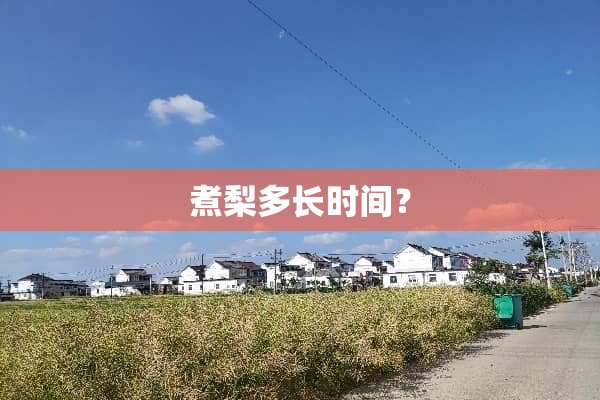 煮梨多长时间？