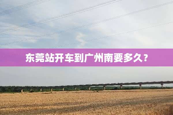 东莞站开车到广州南要多久？