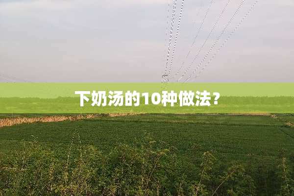 下奶汤的10种做法？