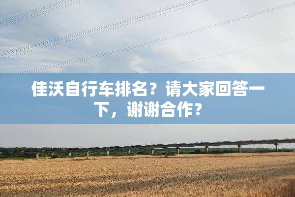 佳沃自行车排名？请大家回答一下，谢谢合作？