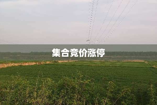 集合竞价涨停