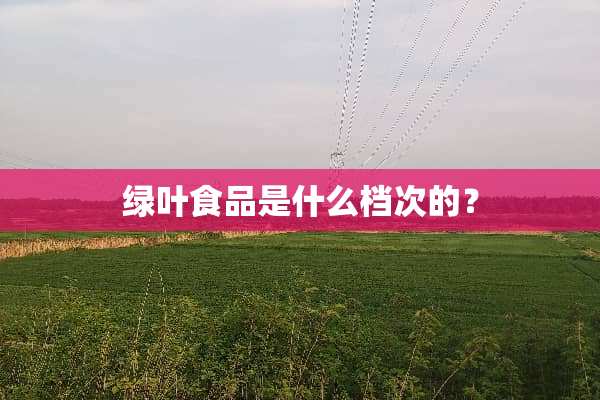 绿叶食品是什么档次的？