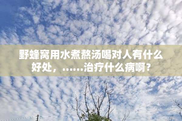 野蜂窝用水煮熬汤喝对人有什么好处，……治疗什么病啊？