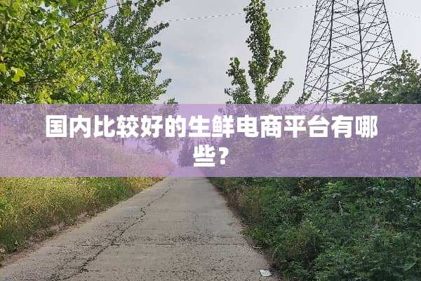 国内比较好的生鲜电商平台有哪些？