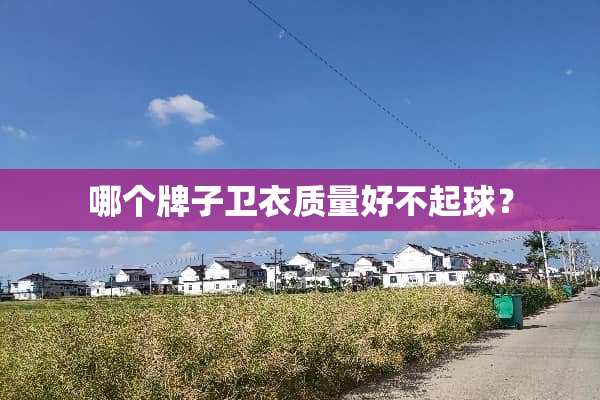 哪个牌子卫衣质量好不起球？