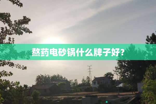 熬药电砂锅什么牌子好？