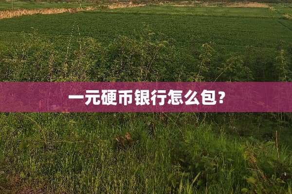 一元**银行怎么包？