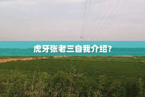 **张老三自我介绍？