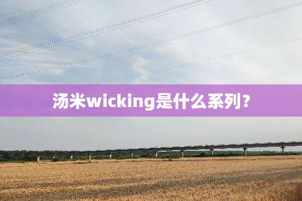汤米wicking是什么系列？