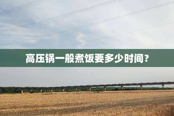 高压锅一般煮饭要多少时间？
