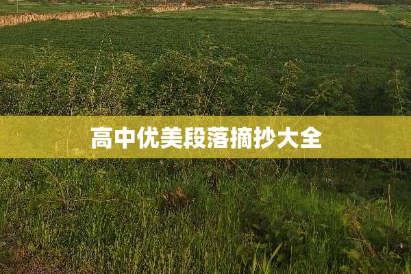高中优美段落摘抄大全