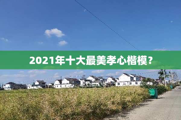 2021年十大最美孝心楷模？
