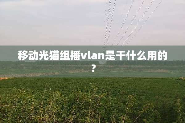 移动光猫组播vlan是干什么用的？