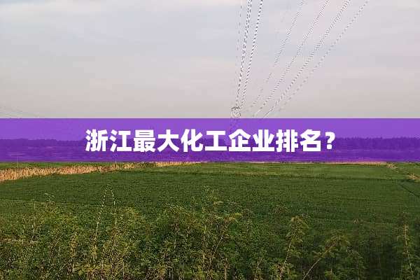 浙江最大化工企业排名？