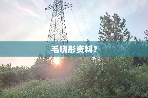 毛晓彤资料？