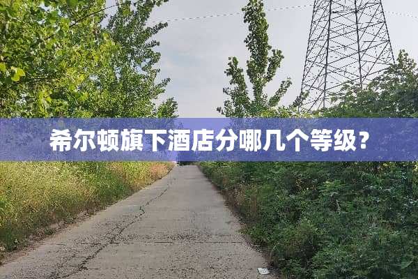 希尔顿旗下酒店分哪几个等级？