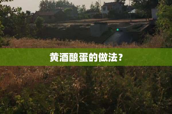 黄酒酿蛋的做法？