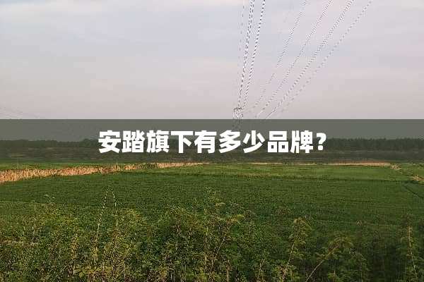 安踏旗下有多少品牌？