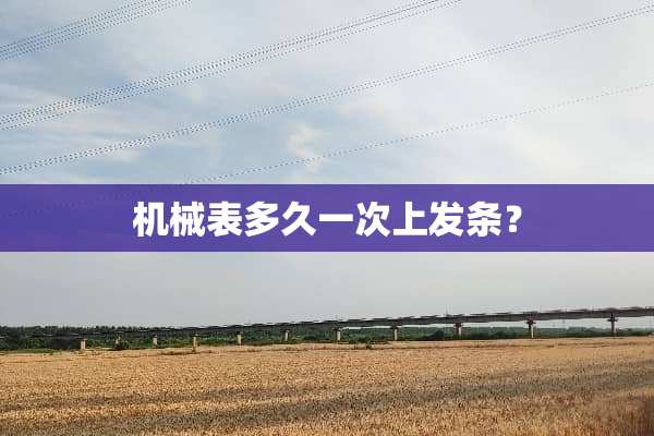 机械表多久一次上发条？