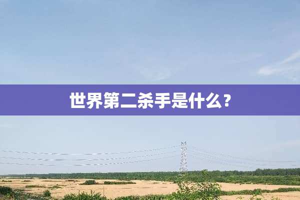 世界第二**是什么？