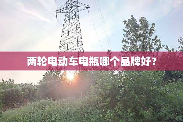 两轮电动车电瓶哪个品牌好？