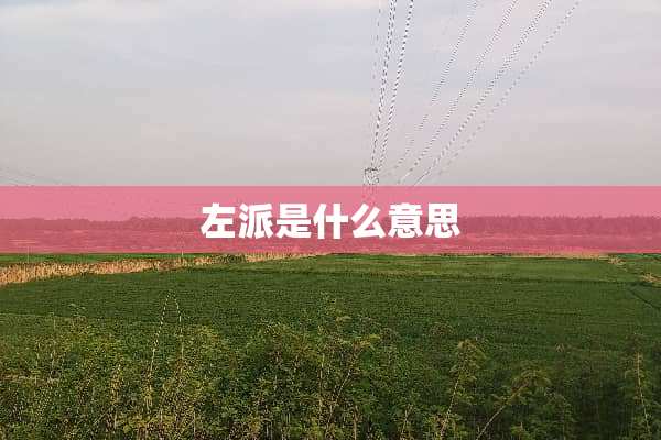 左派是什么意思