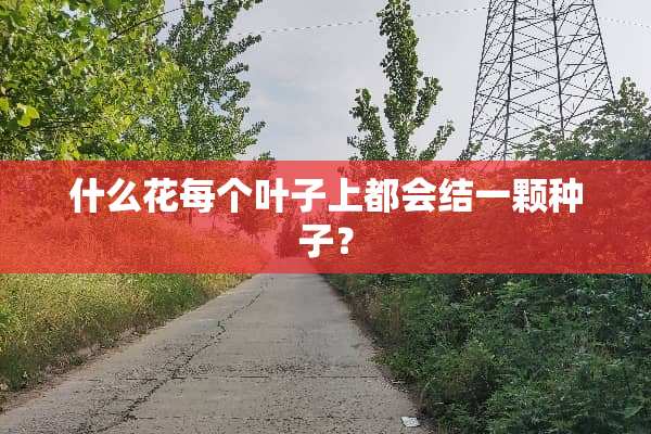 什么花每个叶子上都会结一颗种子？