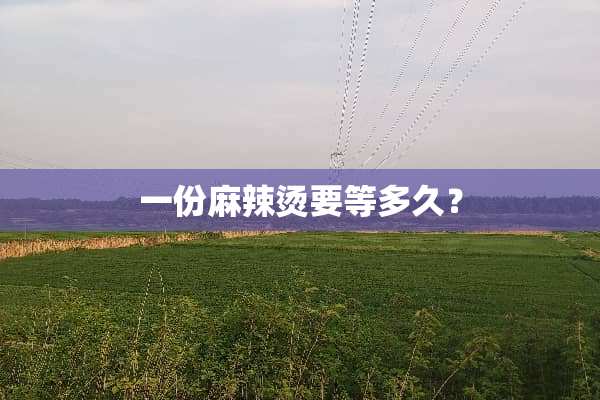 一份麻辣烫要等多久？