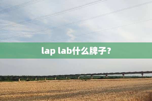 lap lab什么牌子？