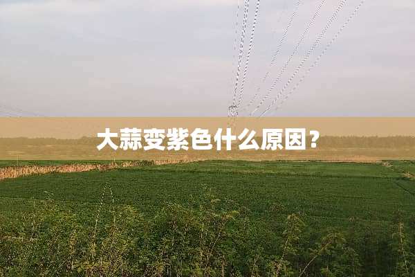 大蒜变紫色什么原因？
