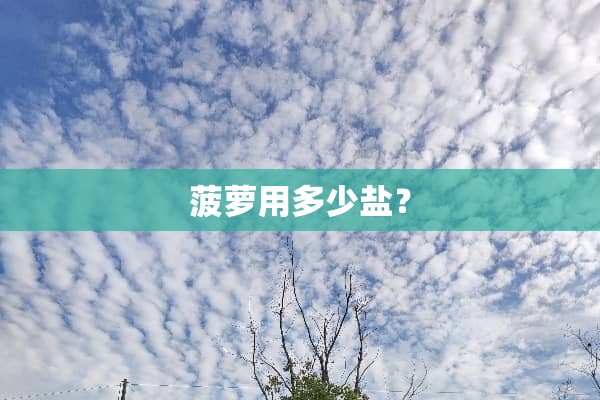 菠萝用多少盐？