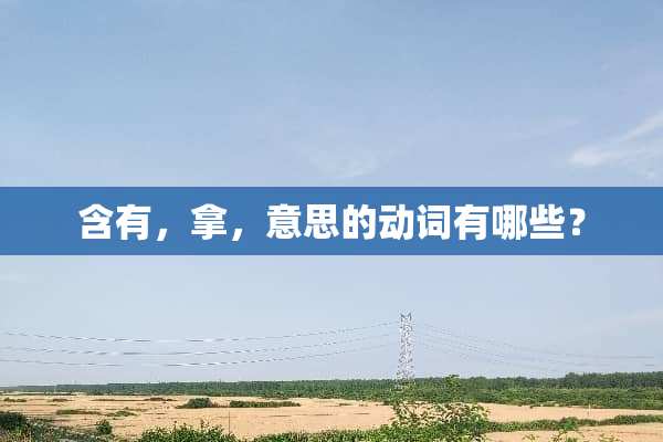 含有，拿，意思的动词有哪些？