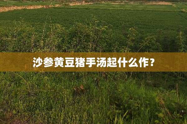 沙参黄豆猪手汤起什么作？