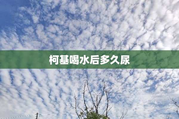 柯基喝水后多久尿