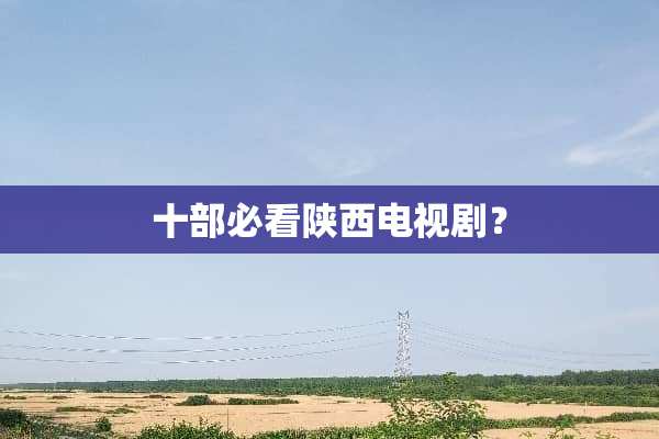 十部必看陕西电视剧？