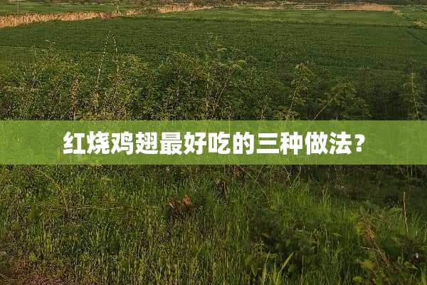 红烧鸡翅最好吃的三种做法？