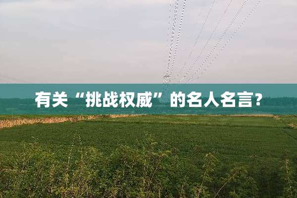 有关“挑战权威”的名人名言？
