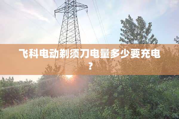 飞科电动剃须刀电量多少要充电？